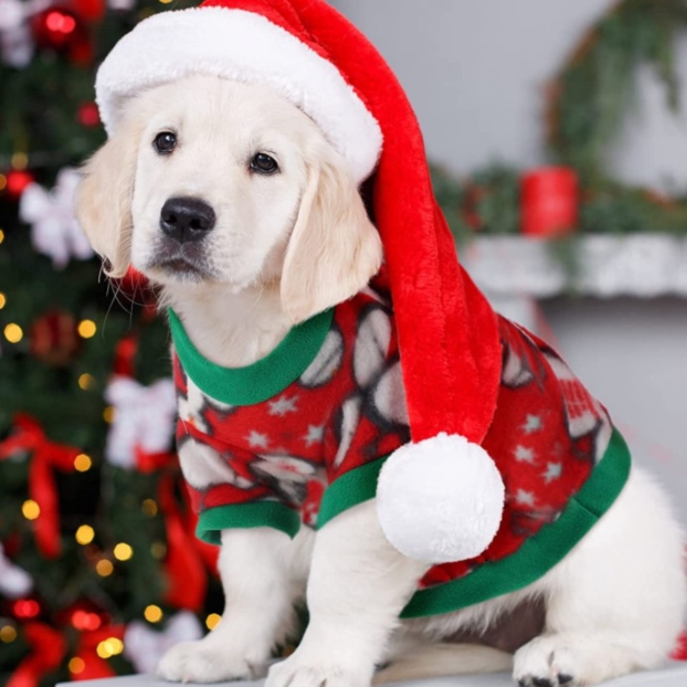 🆕🎅🏼🎄Fleece Dog Sweater:Snowmen with Green